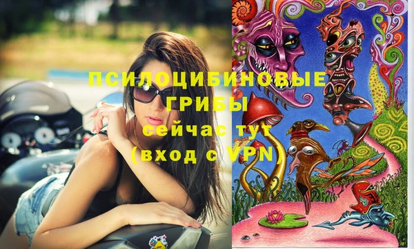 амф Надым